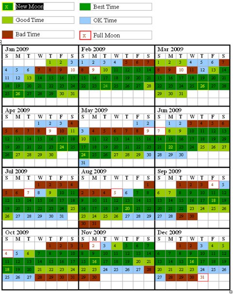 io bay moon calendar