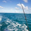 Deep Sea Fishing in Puerto Rico
