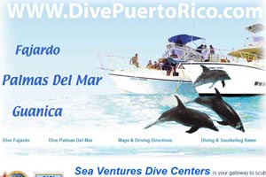 dive puerto rico sea ventures