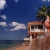 horned dorset puerto rico