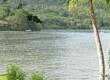 lago dos bocas puerto rico