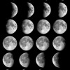 biobay moon phase calendar