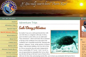 pure adventure puerto rico scuba diving
