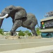 Museo de Vida Silvestre, San Juan