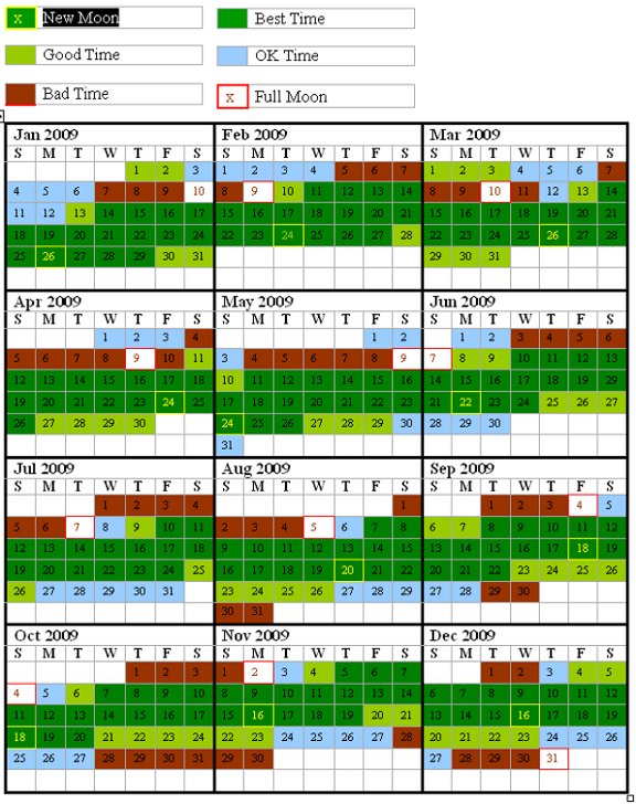 bio bay moon calendar Discovering Puerto Rico