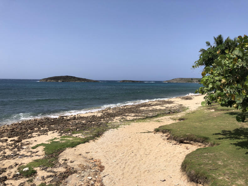 Best Things To Do In Arecibo Discovering Puerto Rico