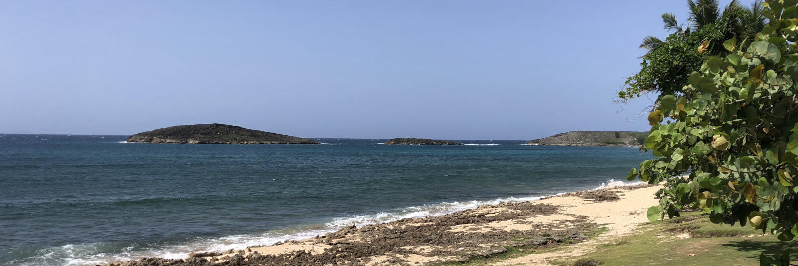 Best Things To Do In Arecibo Discovering Puerto Rico