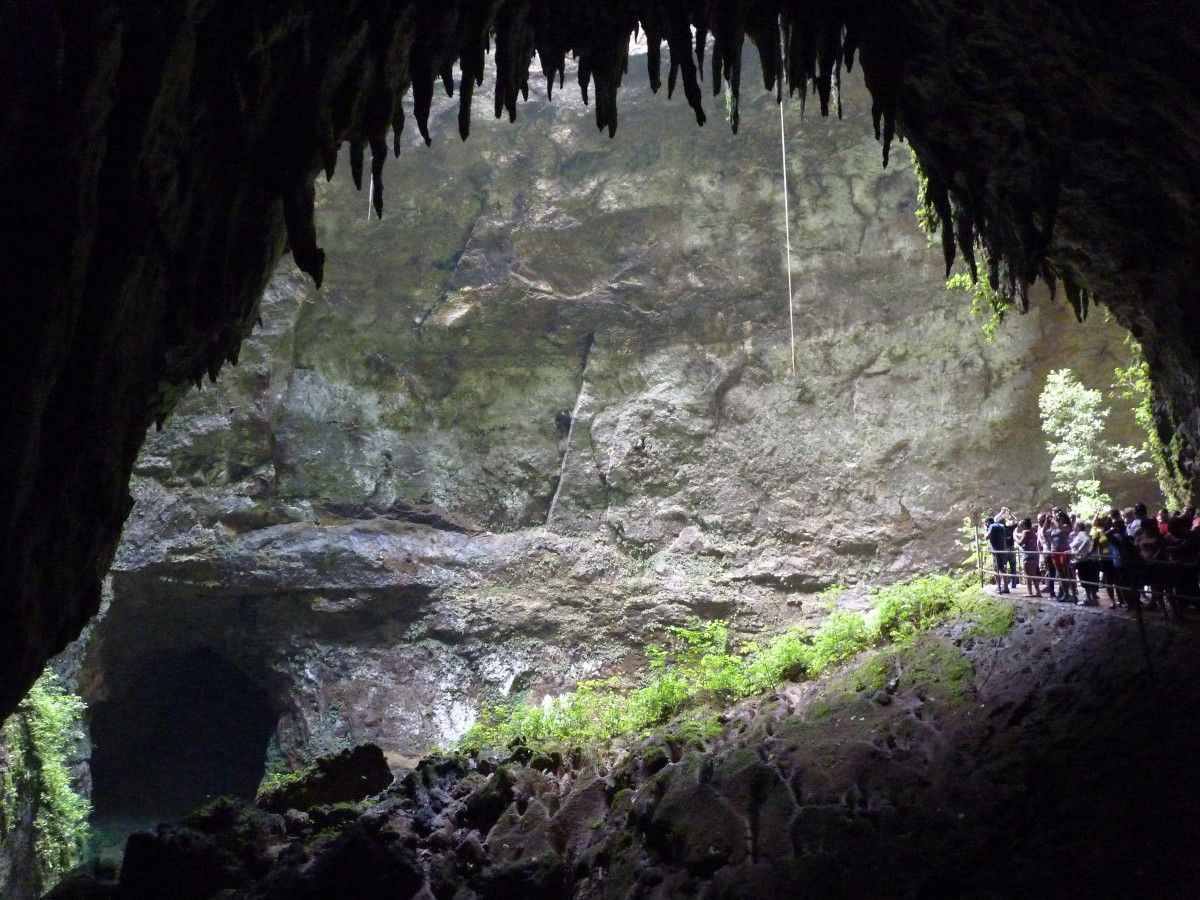 Explore the Camuy Caves