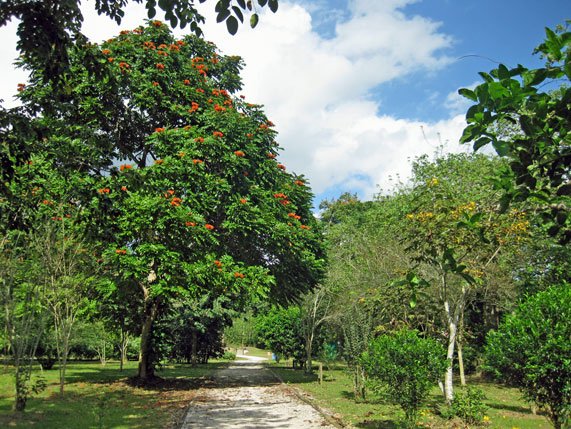 Caguas Botanical Gardens