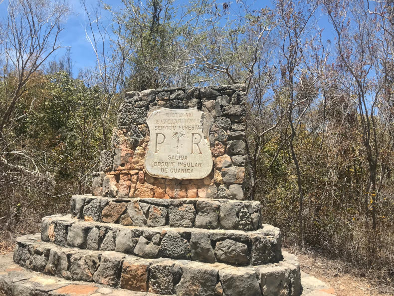 Hiking Guánica Dry Forest Bosque Seco de Guánica Discovering Puerto
