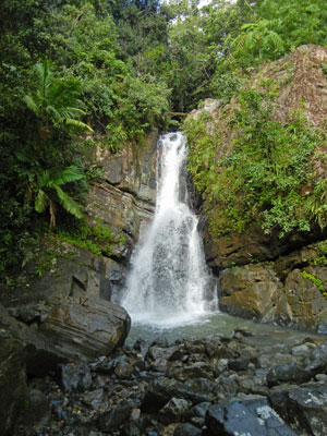 Porta Antillas Region Puerto Rico