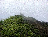 El Yunque Trail in El Yunque Rainforest Puerto Rico