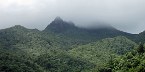 el yunque rainforest