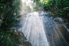 waterfall in el yunque rainforest, puerto rico