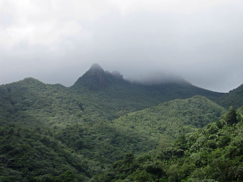 El Yunque Rainforest Puerto Rico