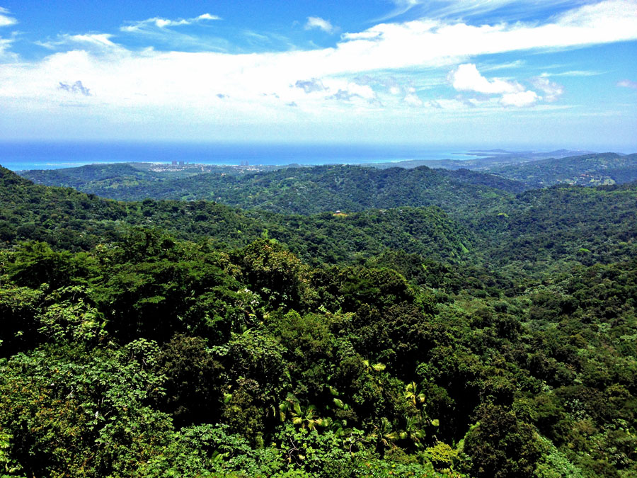 Ocean View from El Yunque Rainforest Puerto Rico
