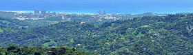 enchanted island eco tours Ocean View from El Yunque Rain Forest