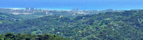 Ocean View from El Yunque Rain Forest