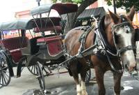 horse drawn carriage ride through old san juan, puerto rico