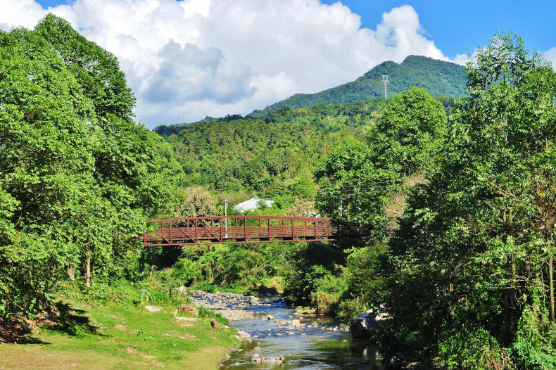 Jayuya Puertpo Rico