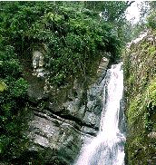 la Mina Trail in El Yunque Puerto Rico