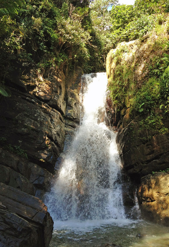 La Mina Falls Iconic Photography Location in Puerto Rico