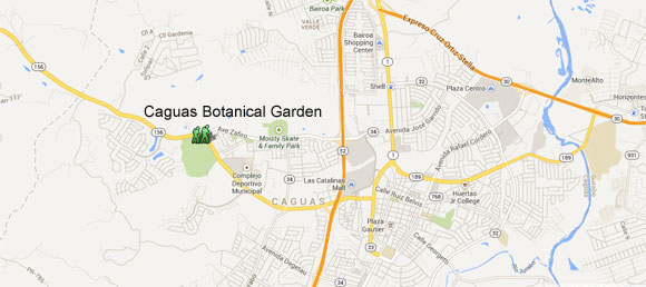 Caguas Botanical Garden Map