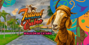 Ultimate Guide to October Festivals in Puerto Rico
