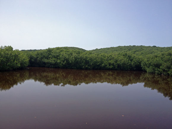 Las Cabezas de San Juan Nature Reserve