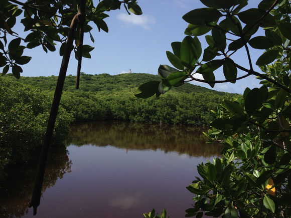 Las Cabezas de San Juan Nature Reserve