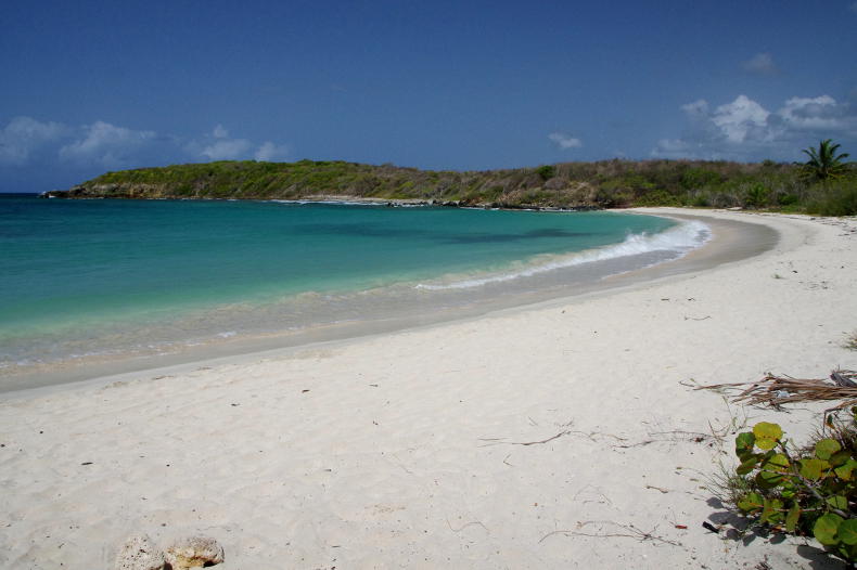 Pata Prieta / Secret Beach, Vieques