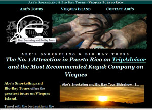 abes snorkeling biobay vieques