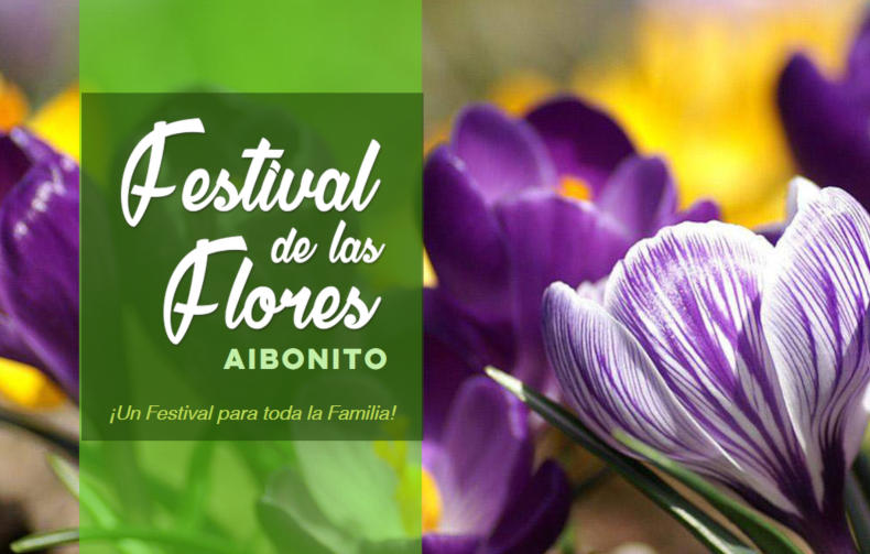 Experience the Magic of the Aibonito Flower Festival