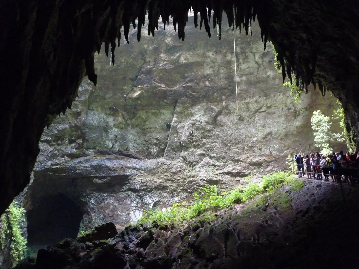 Explore the Camuy Caves