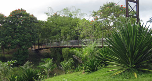 caguas botanical gardens suspension bridge caguas botanical gardens suspension bridge
