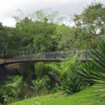 caguas botanical gardens