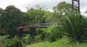 caguas botanical gardens