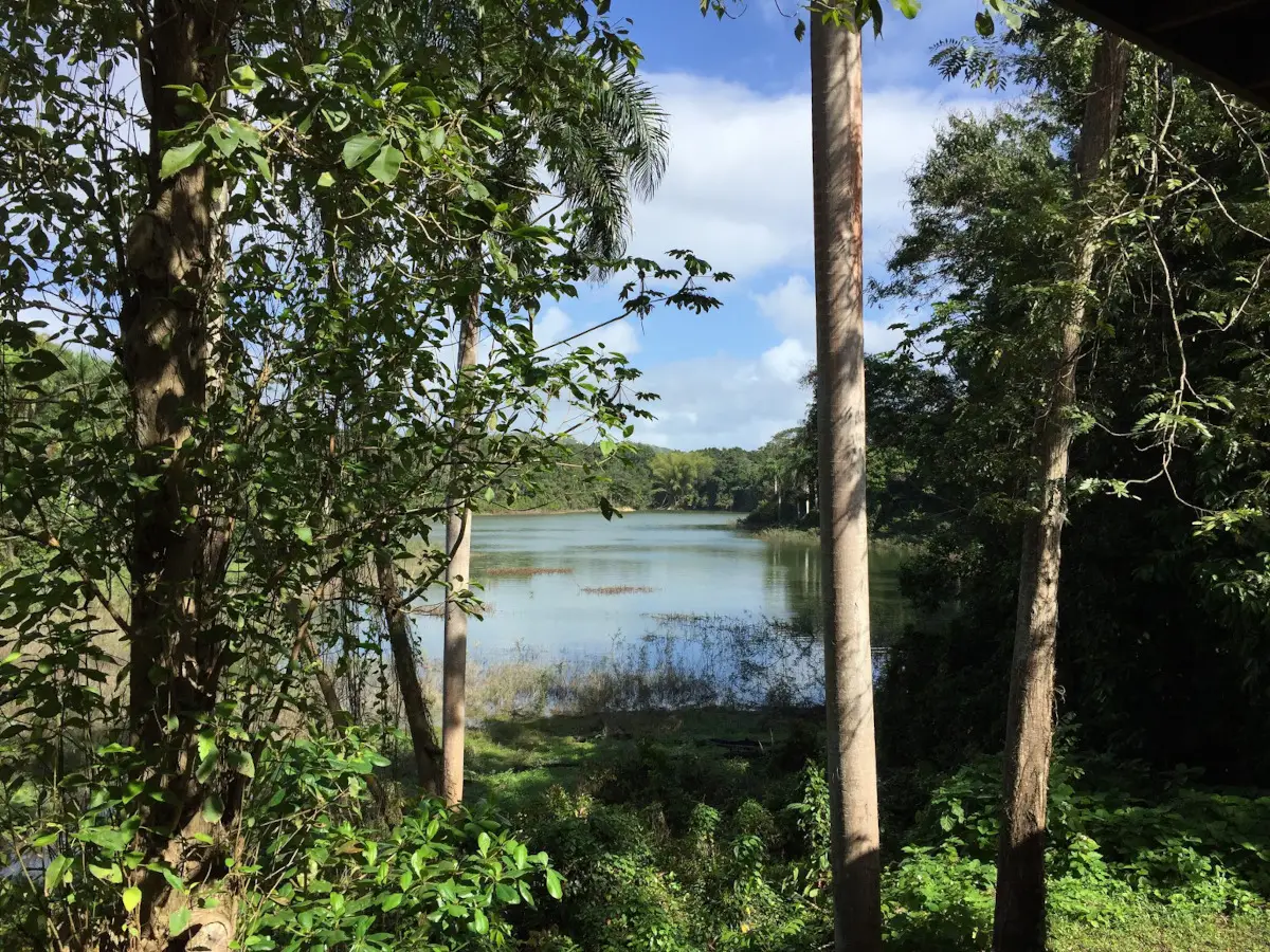 The Best Attractions in Puerto Rico’s Central Region