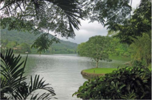 The Best Attractions in Puerto Rico’s Central Region