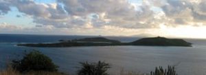 culebrita puerto rico