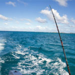 Deep Sea Fishing in Puerto Rico