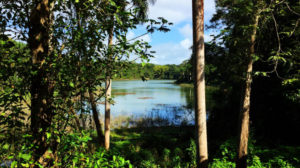 Laguna Tortuguero, Puerto Rico