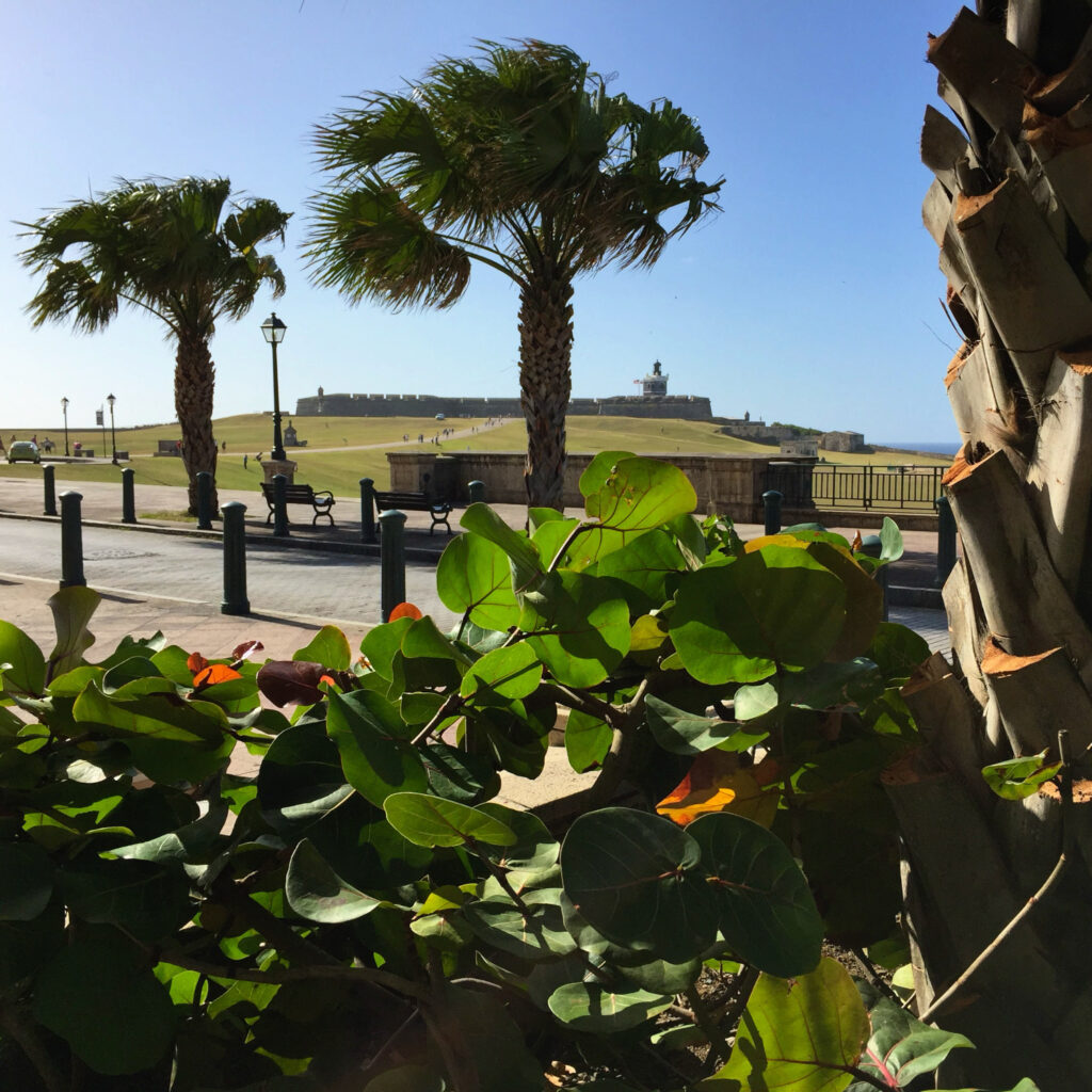 Your Ultimate Guide to Spending Thanksgiving in Puerto Rico