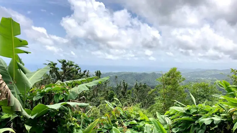El Yunque, Puerto Rico