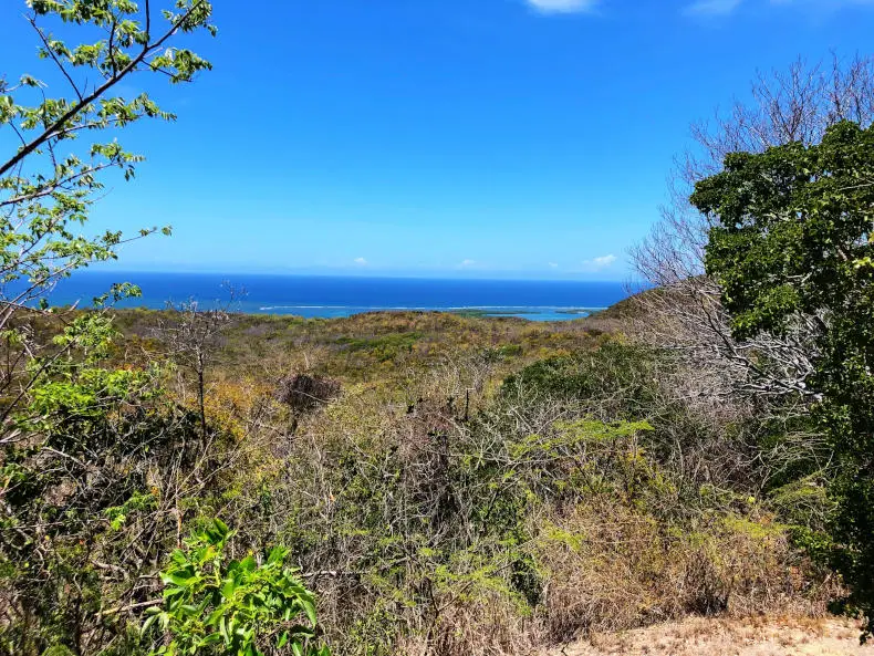 Hiking Guánica Dry Forest - Bosque Seco de Guánica