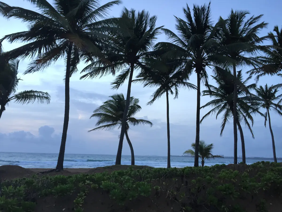 The east coast of Puerto rico has some of the nest beaches