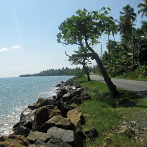 east coast an alternative puerto rico day trip