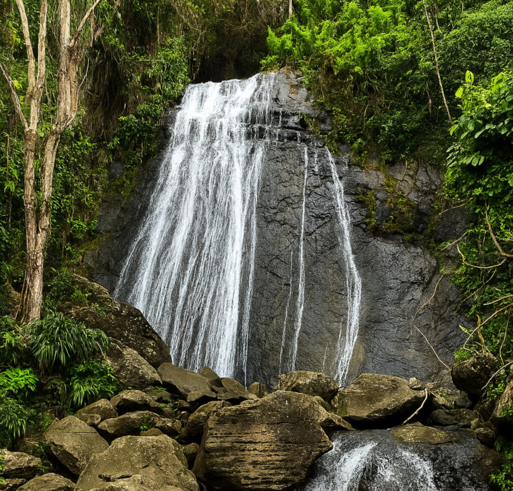 Your Ultimate Guide to El Yunque National Rainforest in Puerto Rico