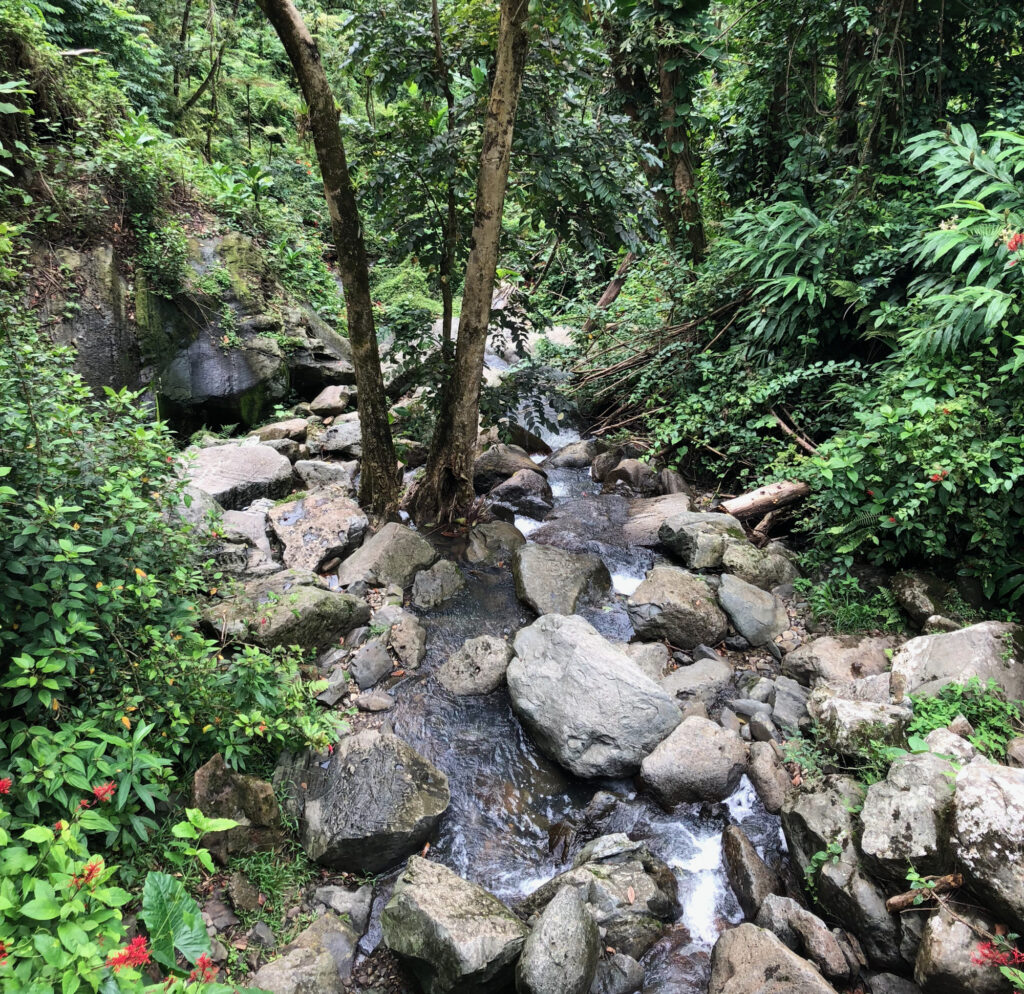 How to Make the Most of Your First Time in Puerto 