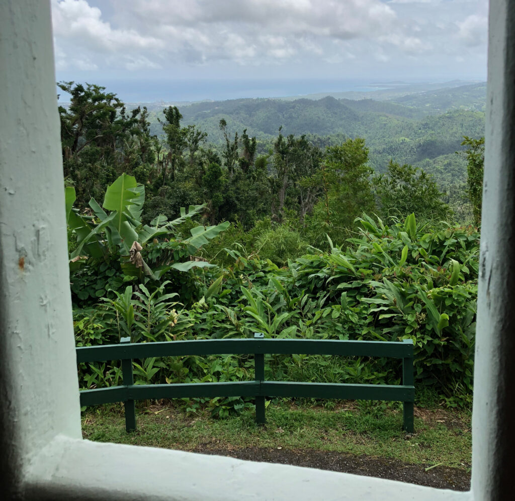 Your Ultimate Guide to El Yunque National Rainforest in Puerto Rico
